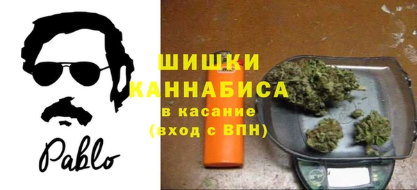 гидра Белоозёрский
