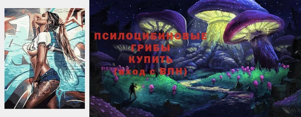 гидра Белоозёрский