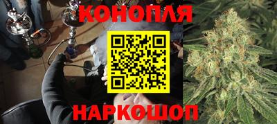 гашик Бердск