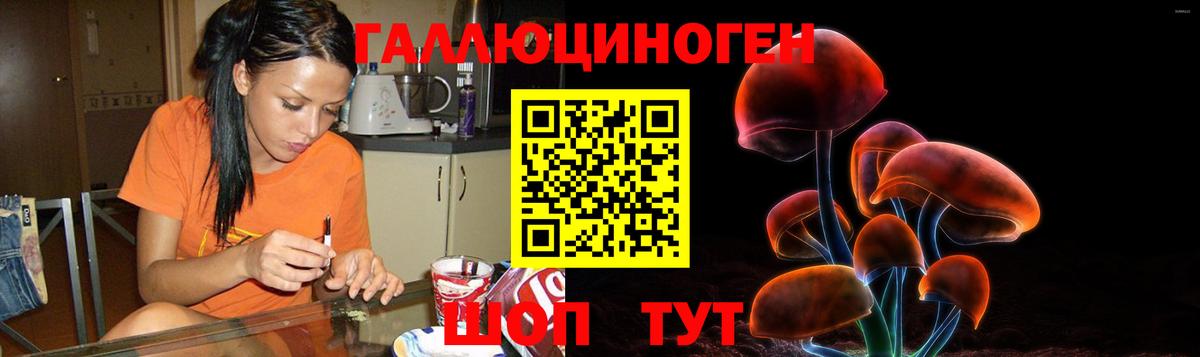 Галлюциногенные грибы Psilocybine cubensis Борисоглебск