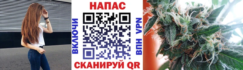 Бошки Шишки сатива Борисоглебск